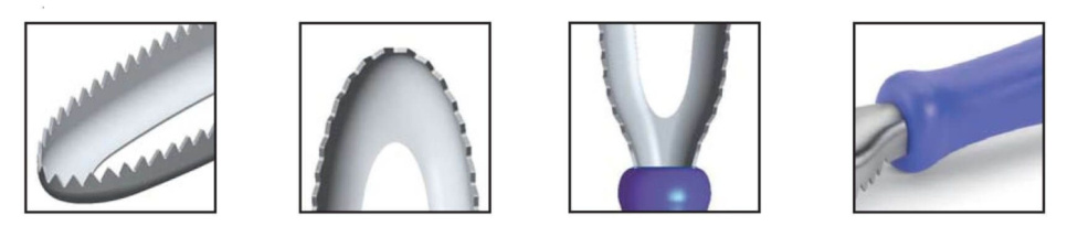 Fiskfjällare, blå - 3 Claveles