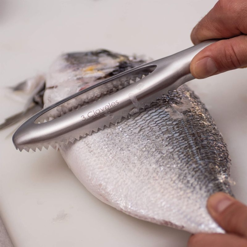 Fiskfjällare, blå - 3 Claveles