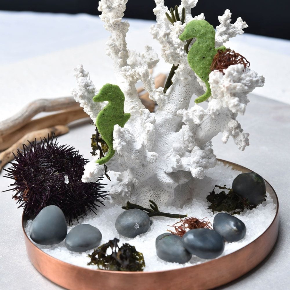 Silikonform GG019, Sten, Gourmand 30x17,5cm - Pavoni