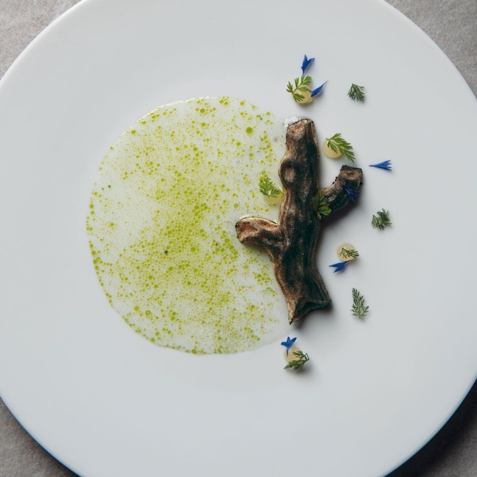 Silikonform GG023, Trädstam, Gourmand 30x17,5cm - Pavoni