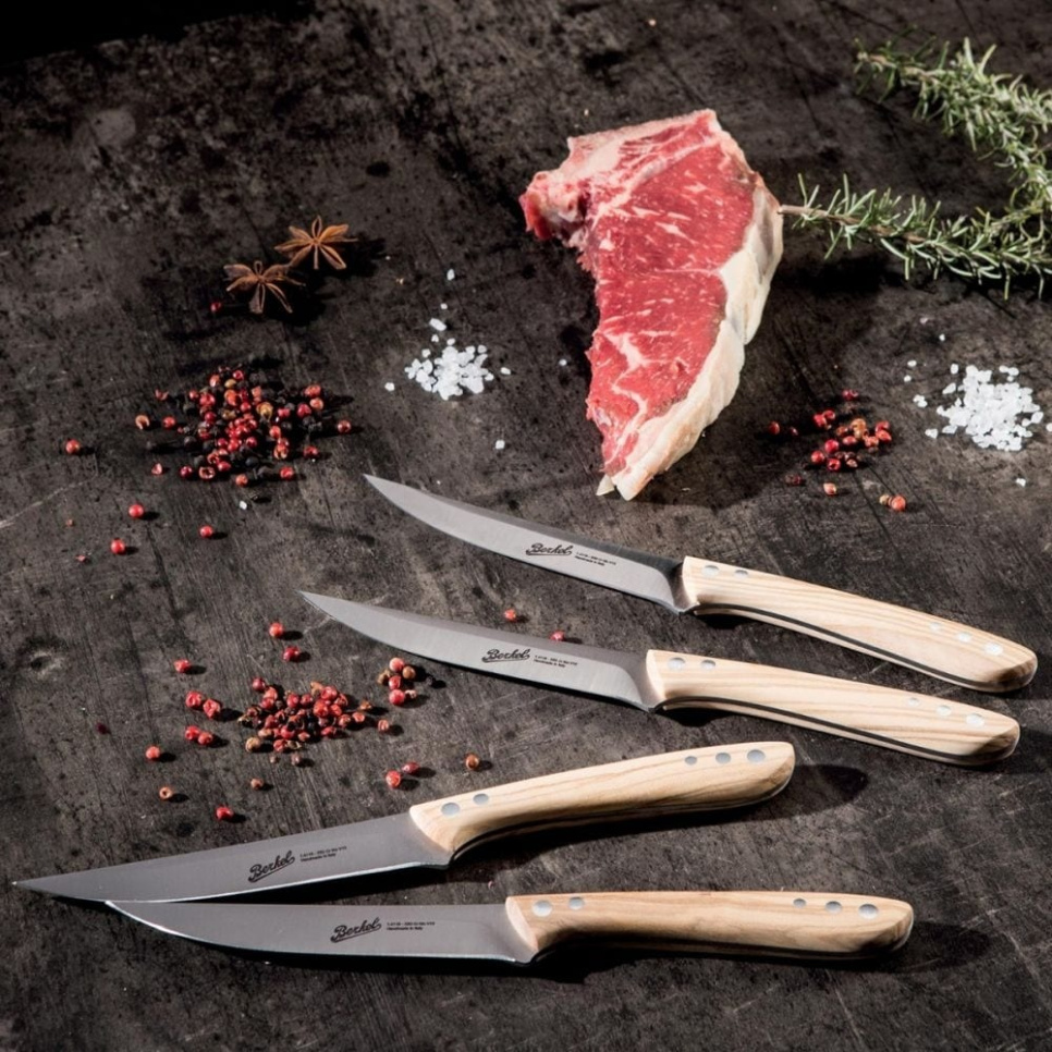 Stekknivar, 4-pack, Maxi Oliv - Berkel