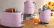Vattenkokare med temperaturinställning, Rosa - Smeg