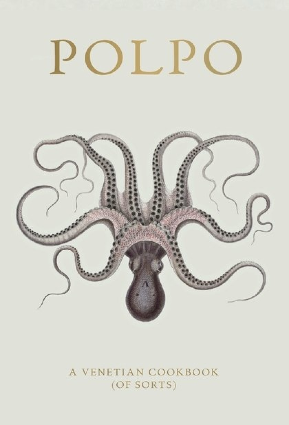 Polpo, A Venetian Cookbook (Of Sorts) - Russel Norman i gruppen Matlagning / Kokböcker / Nationella & regionala kök / Europa hos The Kitchen Lab (1987-26127)