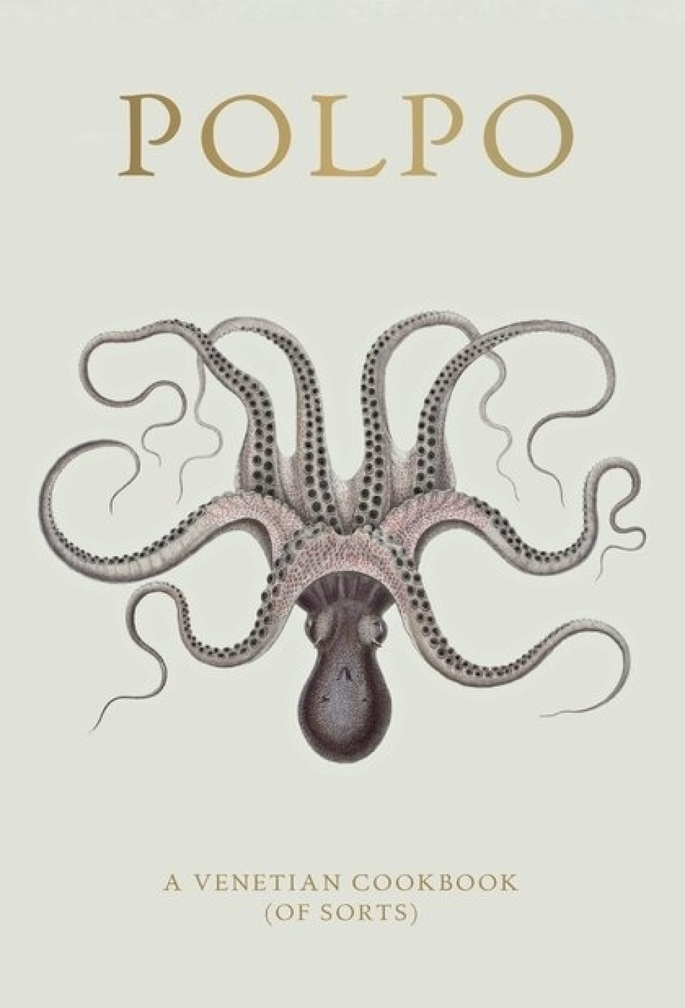 Polpo, A Venetian Cookbook (Of Sorts) - Russel Norman i gruppen Matlagning / Kokböcker / Kök & Kulturer / Italien hos The Kitchen Lab (1987-26127)