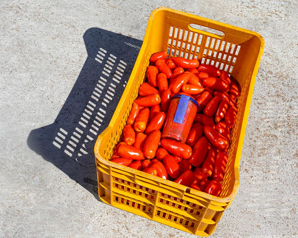 San Marzano-tomater DOP, 2560g - Casa Marrazzo