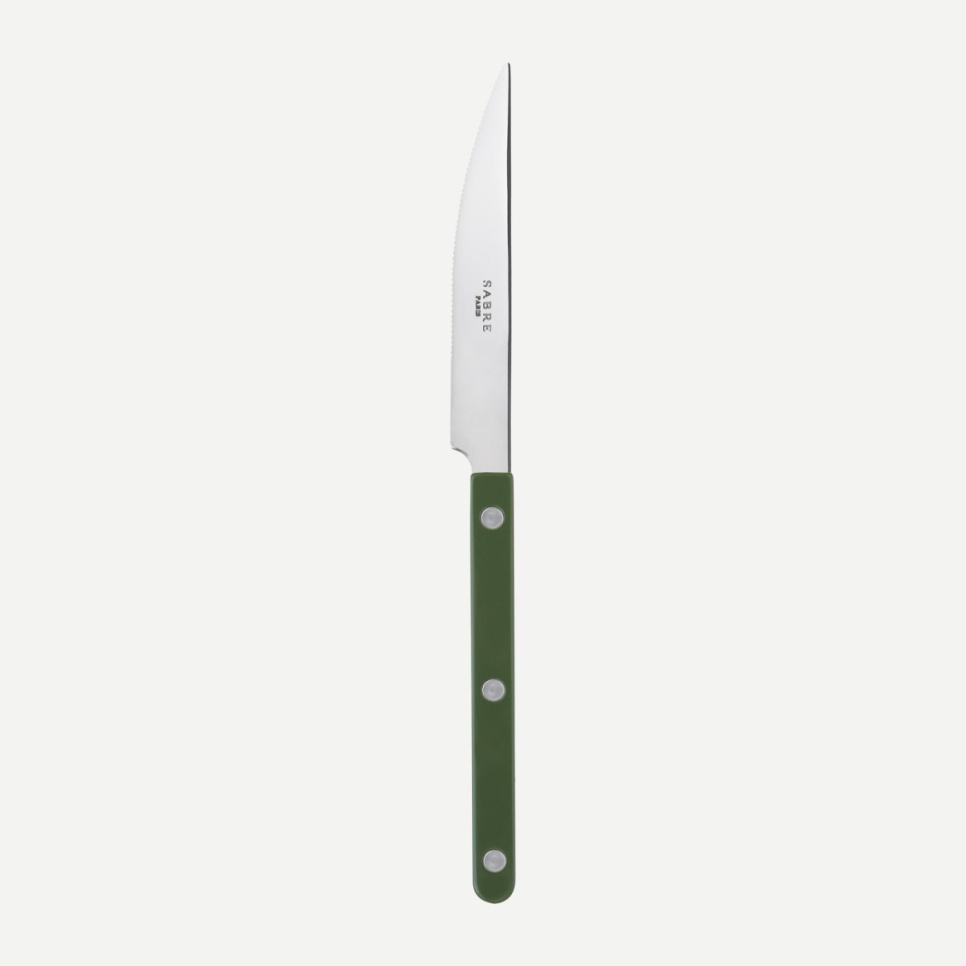 Matkniv, Bistrot, Green - Sabre Paris i gruppen Dukning / Bestick / Knivar hos The Kitchen Lab (2195-30277)