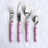 Bestickset, 24 delar, Bistrot, Pink - Sabre Paris