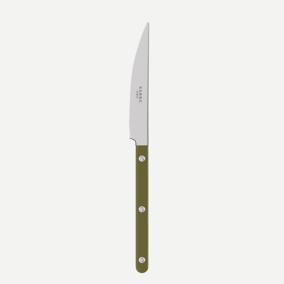 Matkniv, Bistrot, Green fern - Sabre Paris i gruppen Dukning / Bestick / Knivar hos The Kitchen Lab (2195-32456)