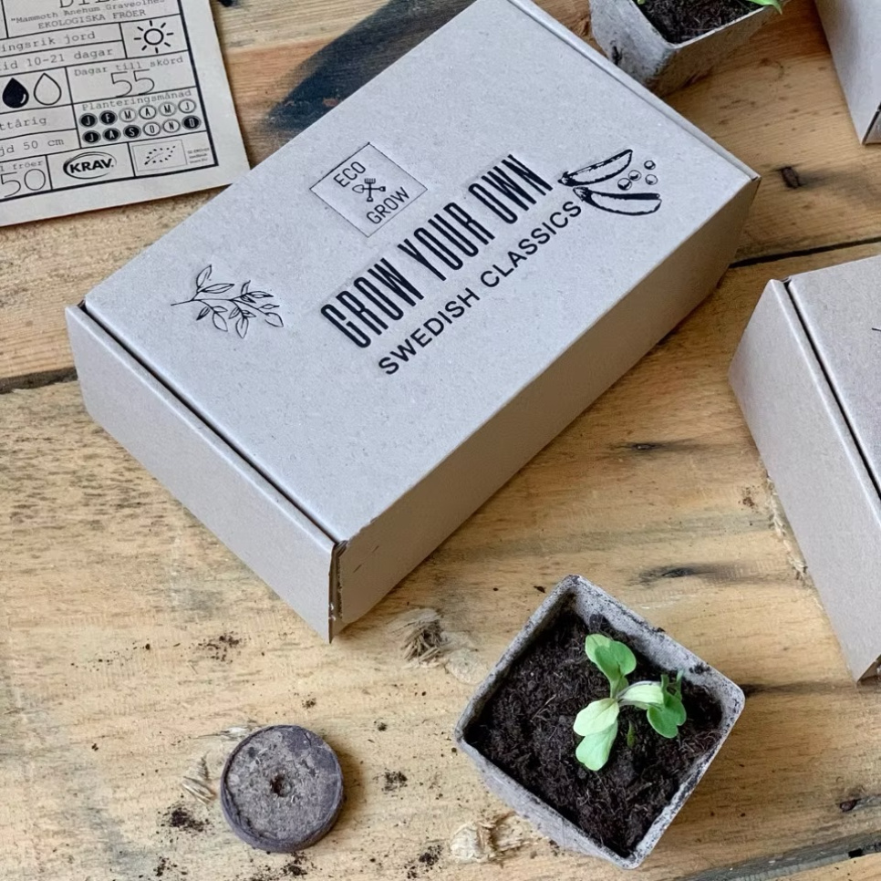 Odlingskit krav-märkt, Svenska Klassiker (4 st) - Eco Grow i gruppen Matlagning / Kolonial hos KitchenLab (2214-31555)
