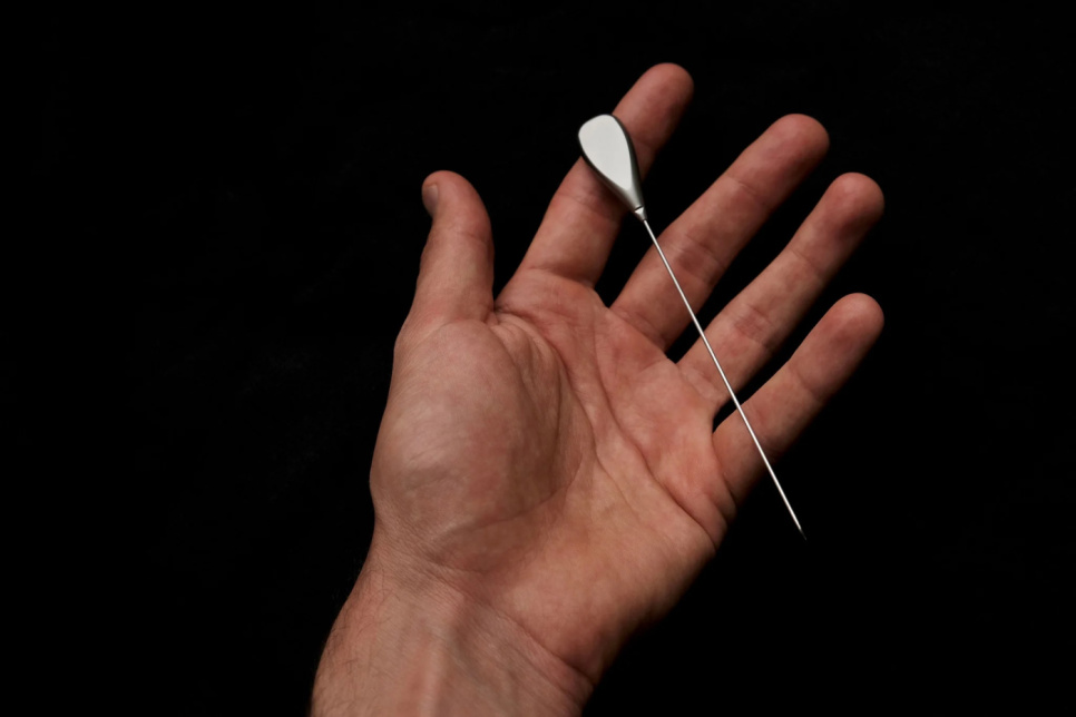 Noyau Cake Tester - Gestura