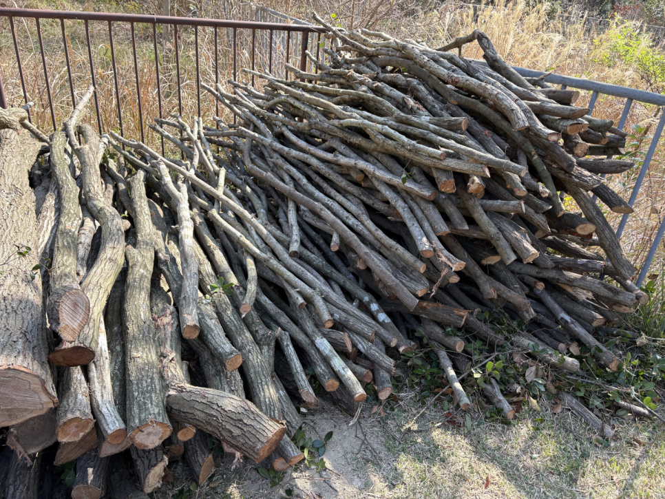 Grillkol, Kishu-Binchotan av Ubamegashi-ek, ca 1kg - Kisyu Sumikobo