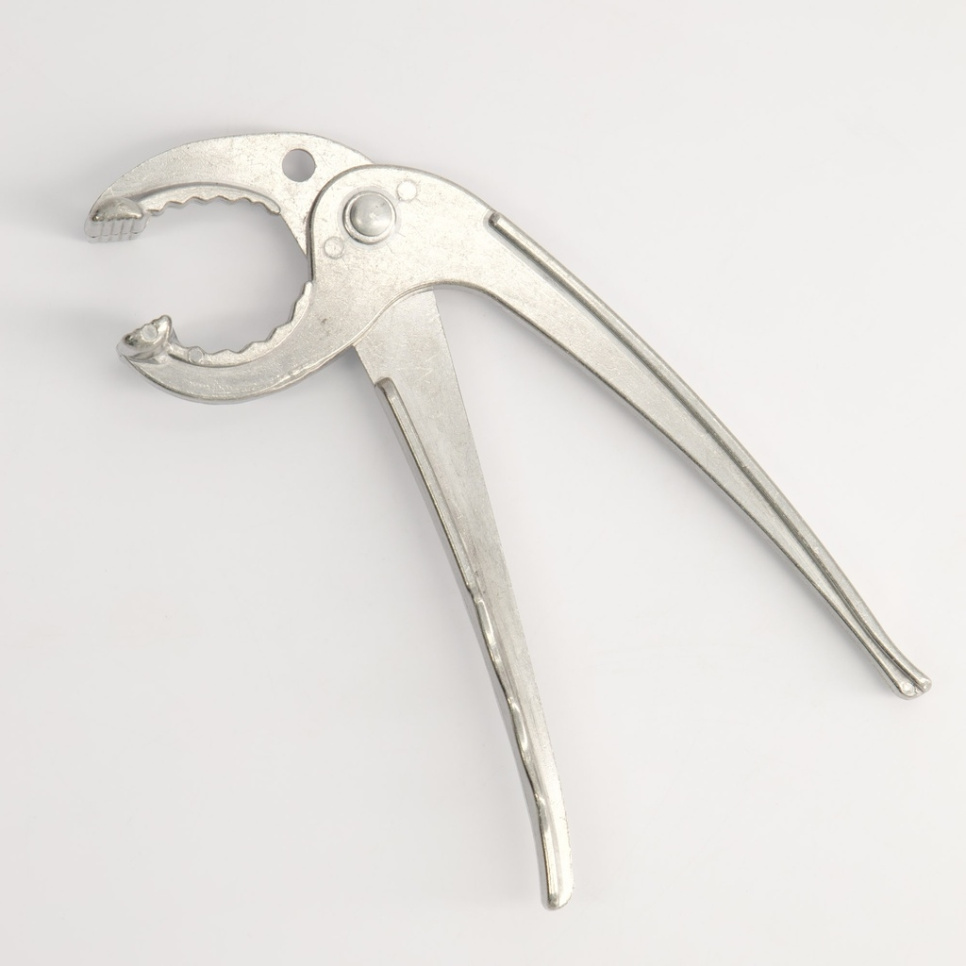 Tång till Bibimbap-skål