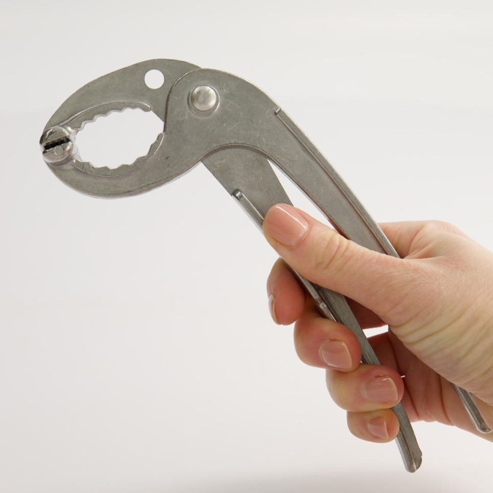 Tång till Bibimbap-skål