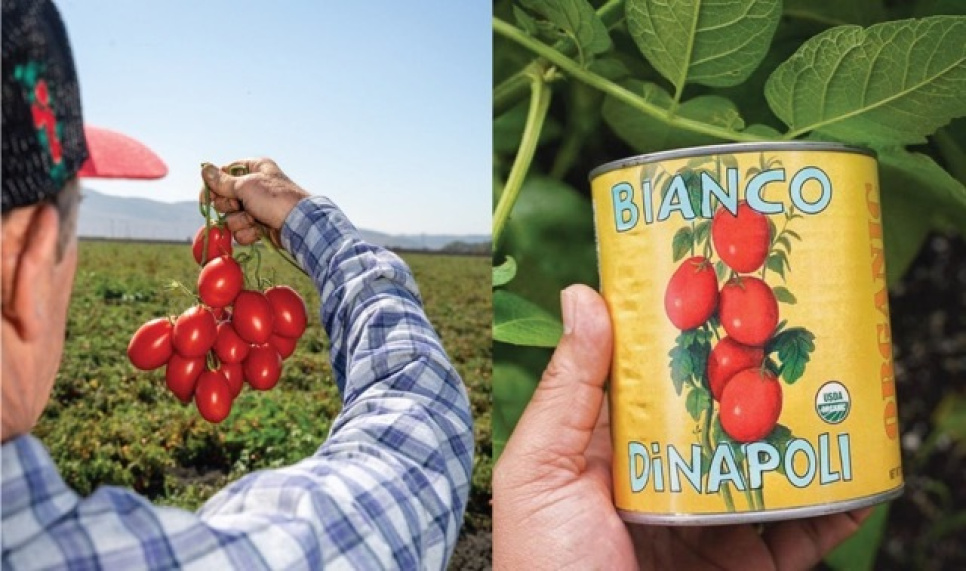 Hela skalade tomater, 794 g - Bianco DiNapoli