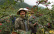 Sichuanpeppar, QingXi, 15 g - The Pepper Quest