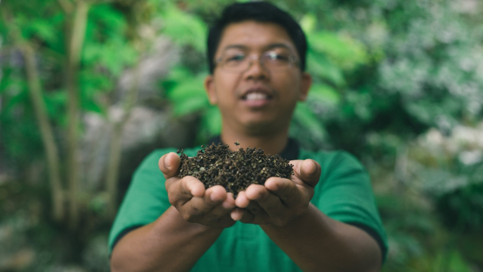 Peppar, Andaliman, Batak, 15 g - The Pepper Quest