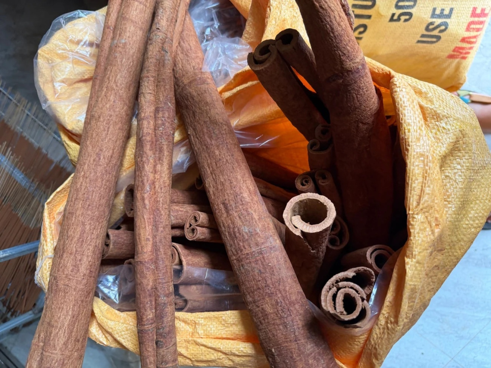 Kanelstång, Quảng Nam, 50 g - The Pepper Quest