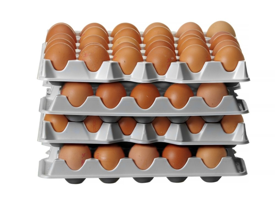 Äggflak i plast, 4-pack - Hendi