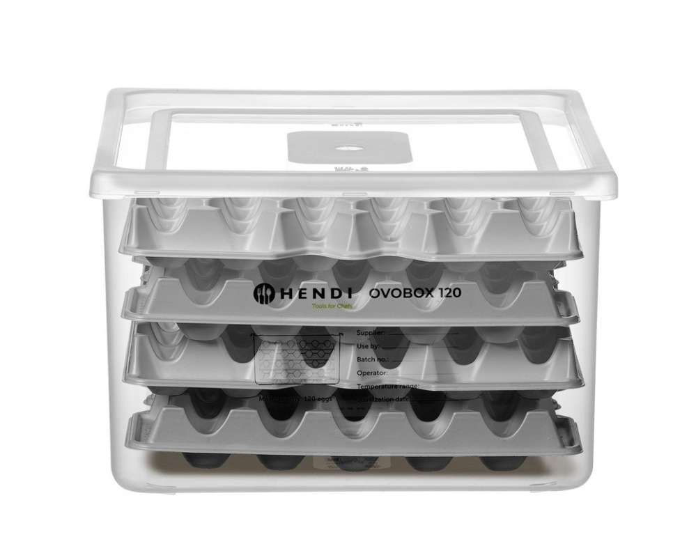 Ägglåda, GN 2/3 - Hendi