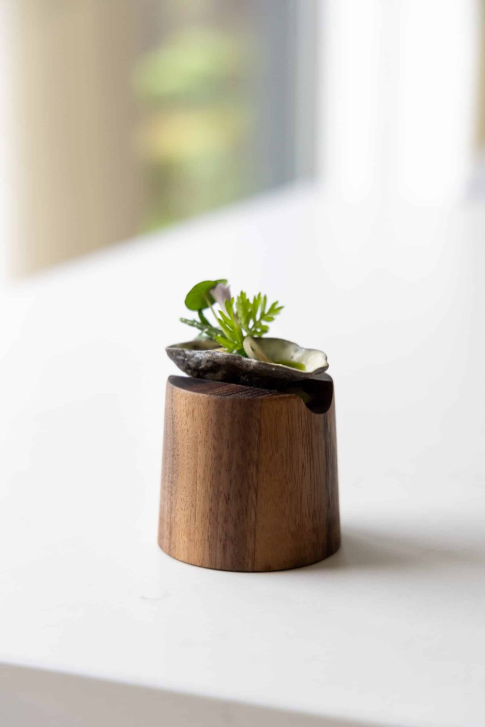 Krustadjärn, Realistic Oyster Pie Tee - Moldbrothers