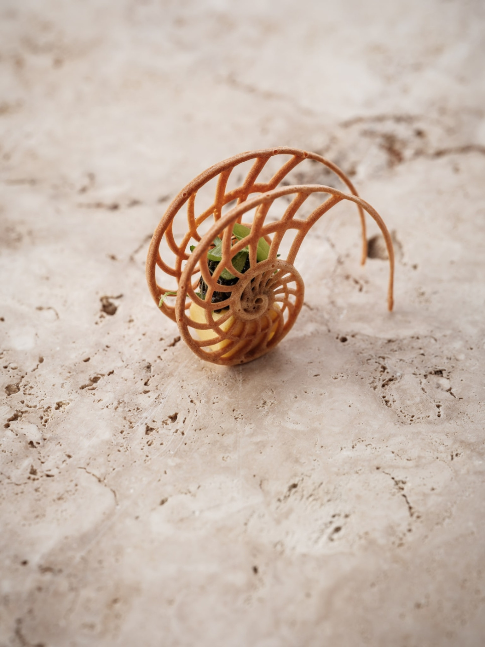 Silikonform, Nautilus Tuille Mold - Moldbrothers