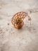 Silikonform, Nautilus Tuille Mold - Moldbrothers