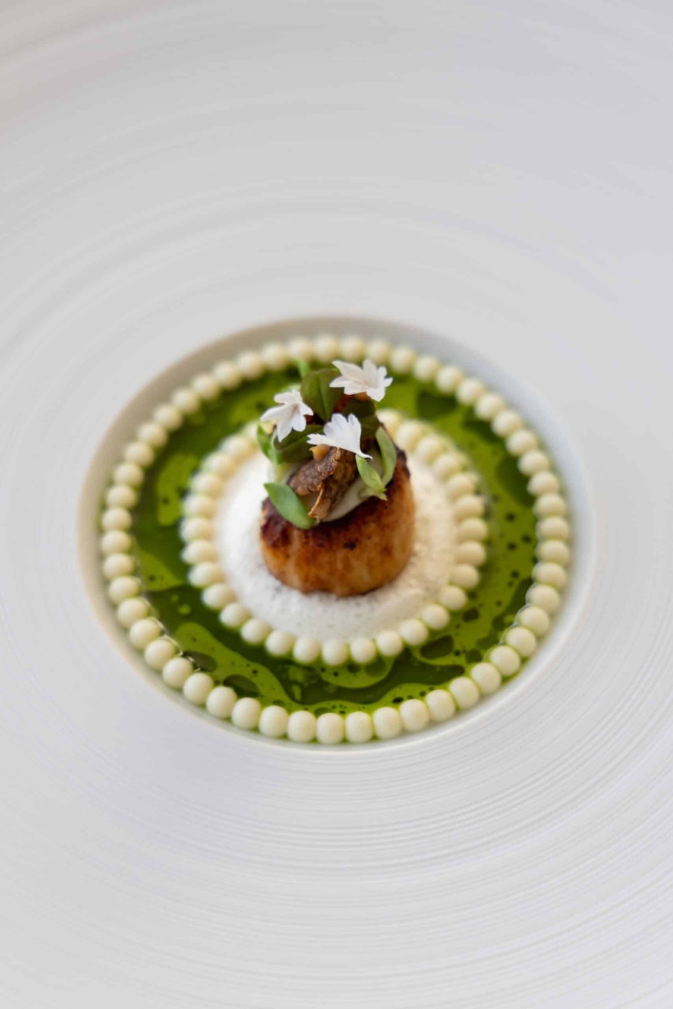 Silikonform, Pearl Ring Mold - Moldbrothers