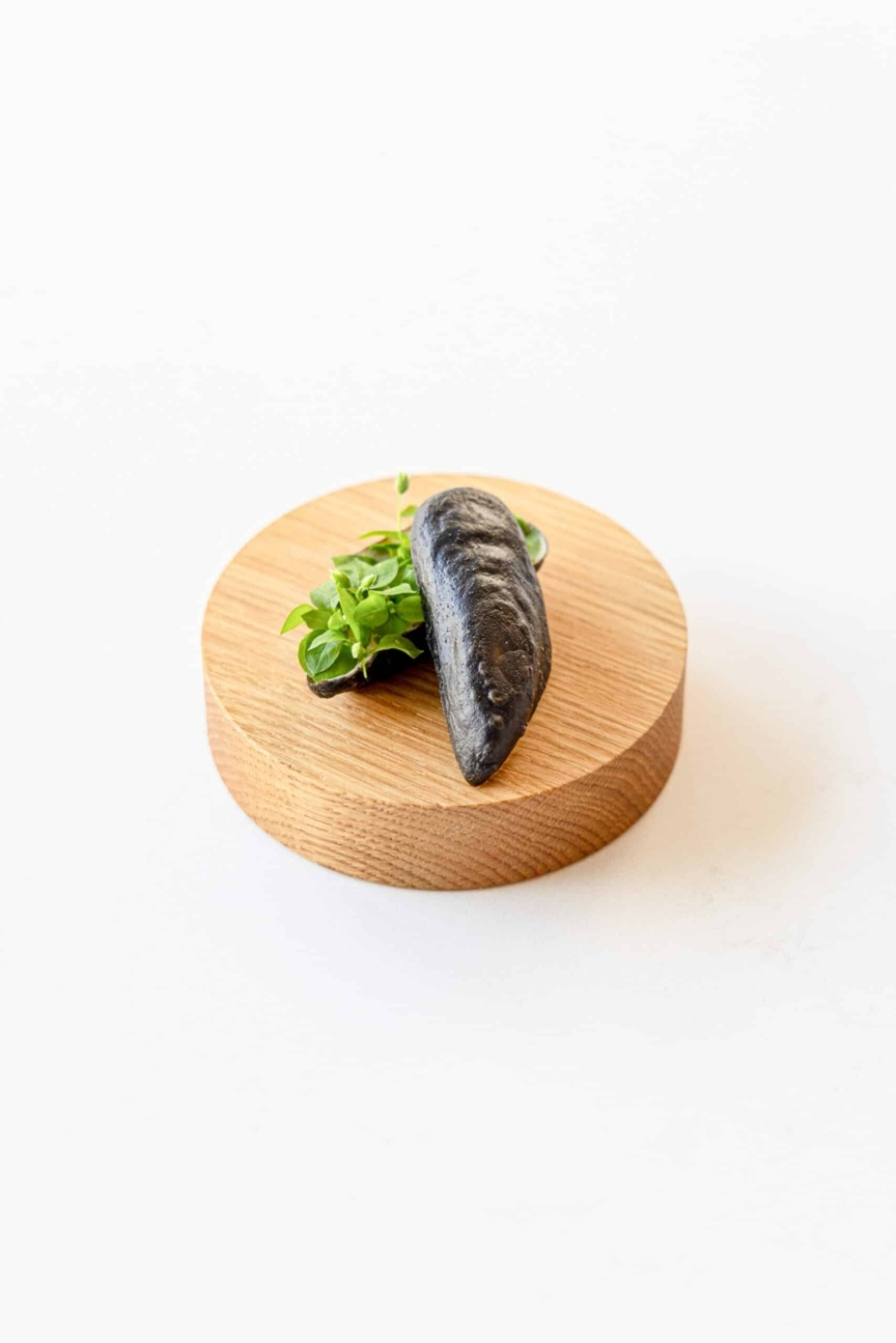 Krustadjärn, Realistic Mussel Pie Tee - Moldbrothers