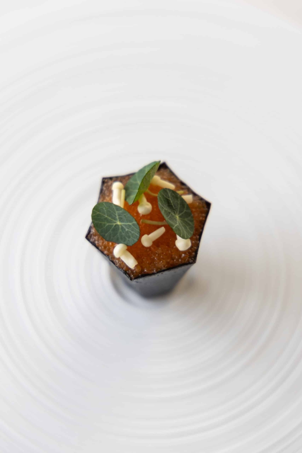 Krustadjärn, Blóm Pie Tee - Moldbrothers