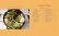 The Food Lab - J. Kenji López-Alt