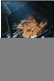 Grillspett 4-pack, SKW20 - Veark